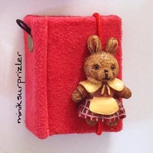 Mini Albüm Kırmızı Tavşanlı