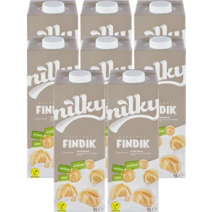 Fındık Sütü Glütensiz Bitkisel Bazlı  Laktosuz Vegan 8x1 lt