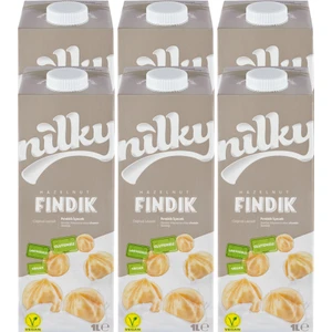 Fındık Sütü Glütensiz Bitkisel Bazlı Laktosuz Vegan 6x1 lt