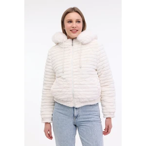 Wl Alba 2CN2120 4pr Ekru Kadın Kısa Kaban