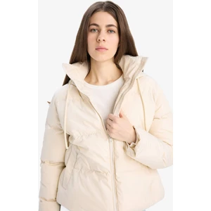Standart Fit Kapüşonlu Fermuarlı Cepli Şişme Mont E9592AX25SP