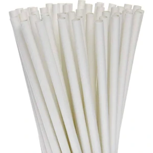 Evinizin Yardımcısı Bubble Tea Karton Pipet (15 Adet)