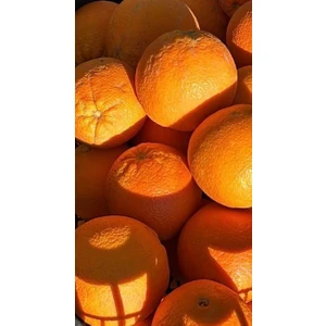 Portakal 5 kg