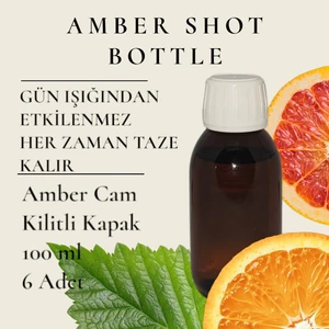 6 Adet Deto x  Şişesi Ginger Shot Amber Cam Çok Amaçlı 100 ml