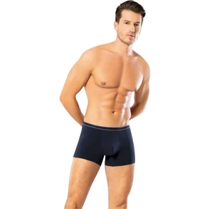 Look Sense Looksense Erkek Dude Ince Bel Şeritli Lastikli Likralı Boxer 1201