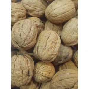 Kabuklu Ceviz 2 kg İnce Kabuk %40 Randıman Yayla Ürünü