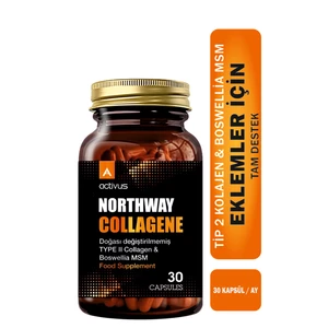 Northway Typeı Iı Collagen 30 Kapsül
