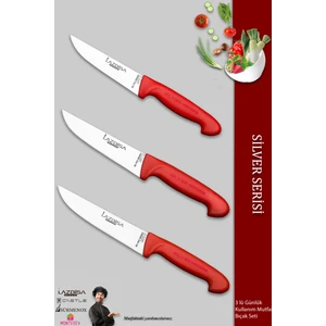 Silver Serisi Mutfak Bıçak Seti Et Ekmek Sebze Bıçağı 3 Lü Set Günlük Kullanım ( Mtf-220)