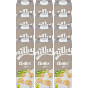 Fındık Sütü Glütensiz Bitkisel Bazlı Laktosuz Vegan 12x1 lt