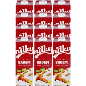 Badem Sütü Glütensiz Bitkisel Bazlı Laktosuz Vegan 12x1 lt
