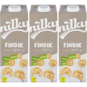 Fındık Sütü Glütensiz Bitkisel Bazlı Laktosuz Vegan 3x1 lt