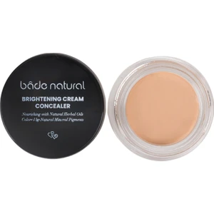 Bade Natural Radiance Concealer Pure 01