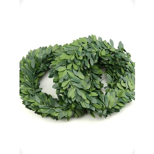 Mis Kitchen - 1 Adet 7 Metre Sarmaşık, Doğal Gaz Borusu Süsleme, Bahçe Demiri Süsleme MK00046G