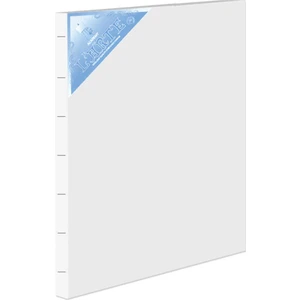 Akademik Tuval 35x50 cm