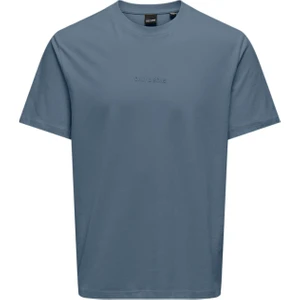 Only & Sons Onslevi  Pamuk Relaxed Fit Bisiklet Yaka Logolu T Shirt Erkek T Shirt 22028147