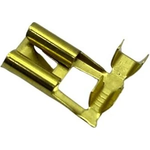 DİŞİ FİŞ EĞRİ (BAYRAK TİP)