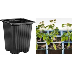 Thermoform Kare Vakum Saksı 30 Adet - Üretim Saksısı 9 cm