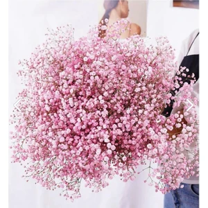 İpek Hobi  Açık Pembe Şoklanmış Renkli Cipso