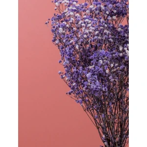 İpek Hobi  Mor  Şoklanmış Renkli Cipso