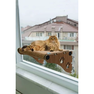 Ahşap Cama Yapışan Kedi Yatağı Vantuzlu Cam Yatağı Terası