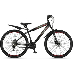 29 Jant Faster 2d Bisiklet