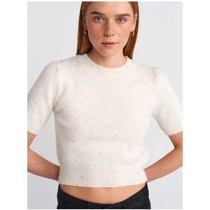 10703 Bisiklet Yaka Pullu Simli Triko Kazak-Krem