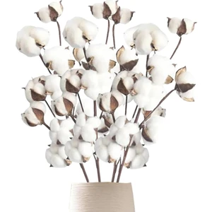 3lü Set Doğal Pamuk Çiçeği 9lu Kuru Çiçek 60 cm  Yapay Çiçek
