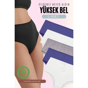 Red İç Giyim Yüksek Bel Büyük Beden Pamuklu Bato Kadın Külot 5'li Paket (Battal Boy)