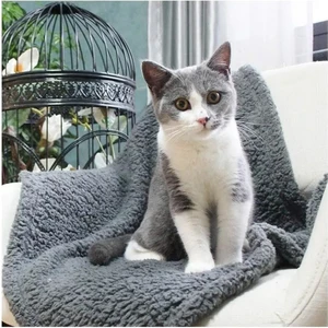 Peluş Kedi Battaniyesi
