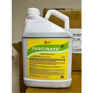 Fascınate Ani ve Hızlı Kurutan Ot Ilacı 5 lt