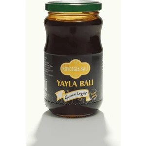 Köyceğiz Balı Yayla Balı 450 gr