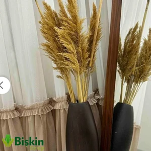 Pampas Natural Dekorasyon Süs Çiçeği 10