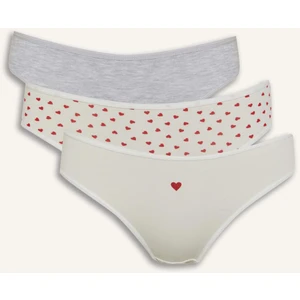 3'lü Slip Külot-Fall in Love E7575AX25SM