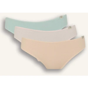 Ribana 3'lü Brief Külot D6404AX25SP