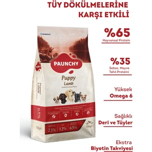 Kuzulu Yetişkin Köpek Maması 15 kg