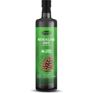 Kozalak Özü 670GR Şeker Ilavesiz