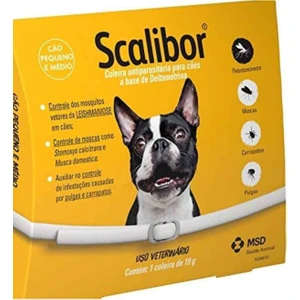 Tasma Köpekler İçin 48 cm