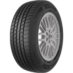 225/55 R18 Tl 98V Suvmile H/t Oto Yaz Lastiği (Üretim Yılı : 2025)