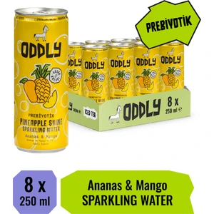 Pıneapple Shıne Ananas Mango Kutu 250 ml x 8 Adet