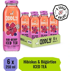 Hıbıberry Soğuk Çay Cam Hibiscus Böğürtlen 250 ml x 6 Adet