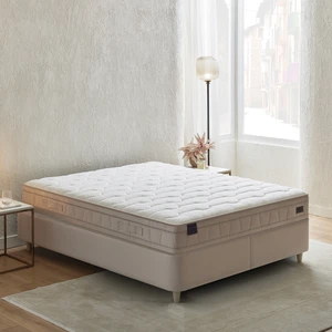 Dual Dream Plus Yaylı Yatak