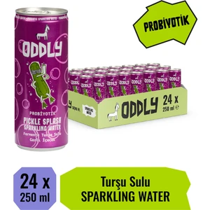 Pıckle Splash Turşu Suyu Kutu 250 ml x 24 Adet