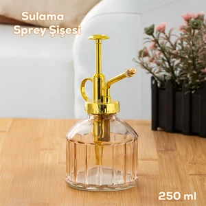 Vintage Cam Bitki Sulama Şişesi Oda Kokusu Dağıtıcı Çok Amaçlı Sprey Şişe 250 ml Pembe