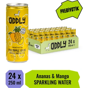 Pıneapple Shıne Ananas Mango Kutu 250 ml x 24 Adet