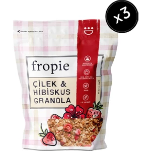 Çilek & Hibiskus Granola 360G X3