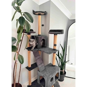 Cat City Yeni Rezidans Kedi Oyun Evi Ve Tırmalaması