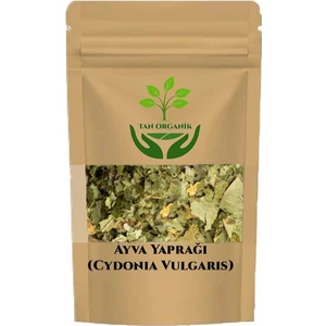 Tan Organik Ayva Yaprağı 25gr