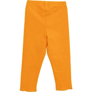 Hellobaby Basic Kız Tayt Kız Bebek