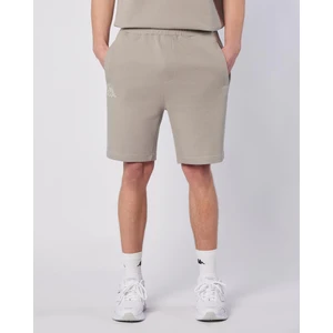 Pronton Short Erkek Gri Regular Fit Şort