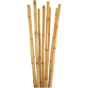 Tunç Botanik Bambu Bitki Destek Çubuğu 105 cm 10 Adet